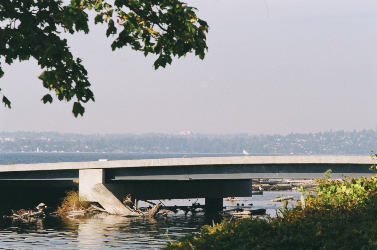 view of park in renton washington on a cloudy day