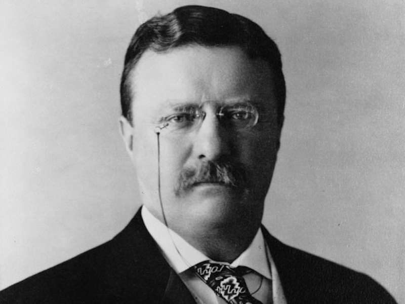 President Theodore Roosevelt