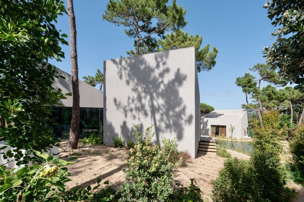 A Stand of Pines Directed the U-Shaped Plan of This Family Home in Portugal