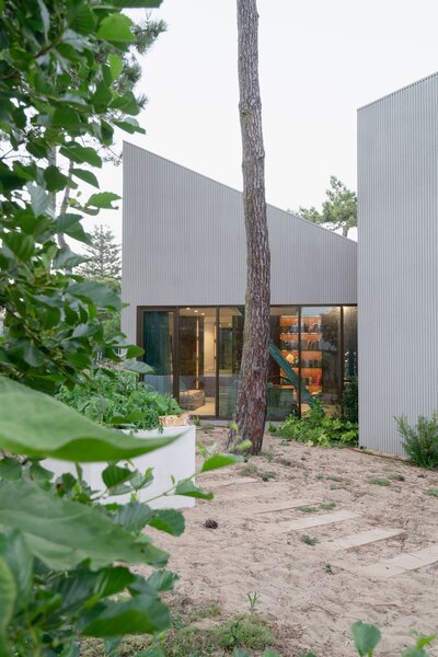 A Stand of Pines Directed the U-Shaped Plan of This Family Home in Portugal