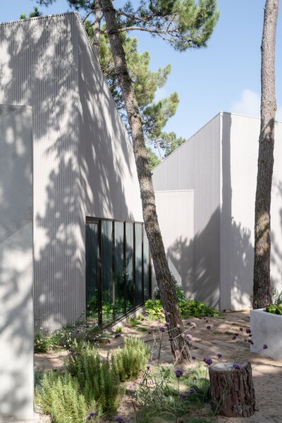 A Stand of Pines Directed the U-Shaped Plan of This Family Home in Portugal