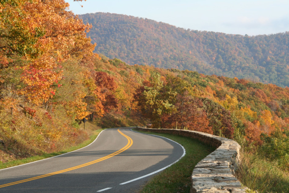 Winding road in Shenandoah National Park in Virginia