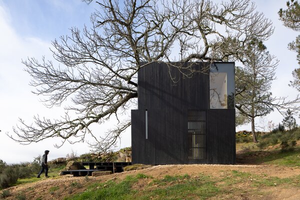 A Majestic Chestnut Tree Appears to Bloom Out of This Cabin’s Butterfly Roof