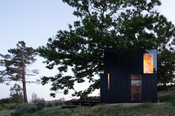 A Majestic Chestnut Tree Appears to Bloom Out of This Cabin’s Butterfly Roof