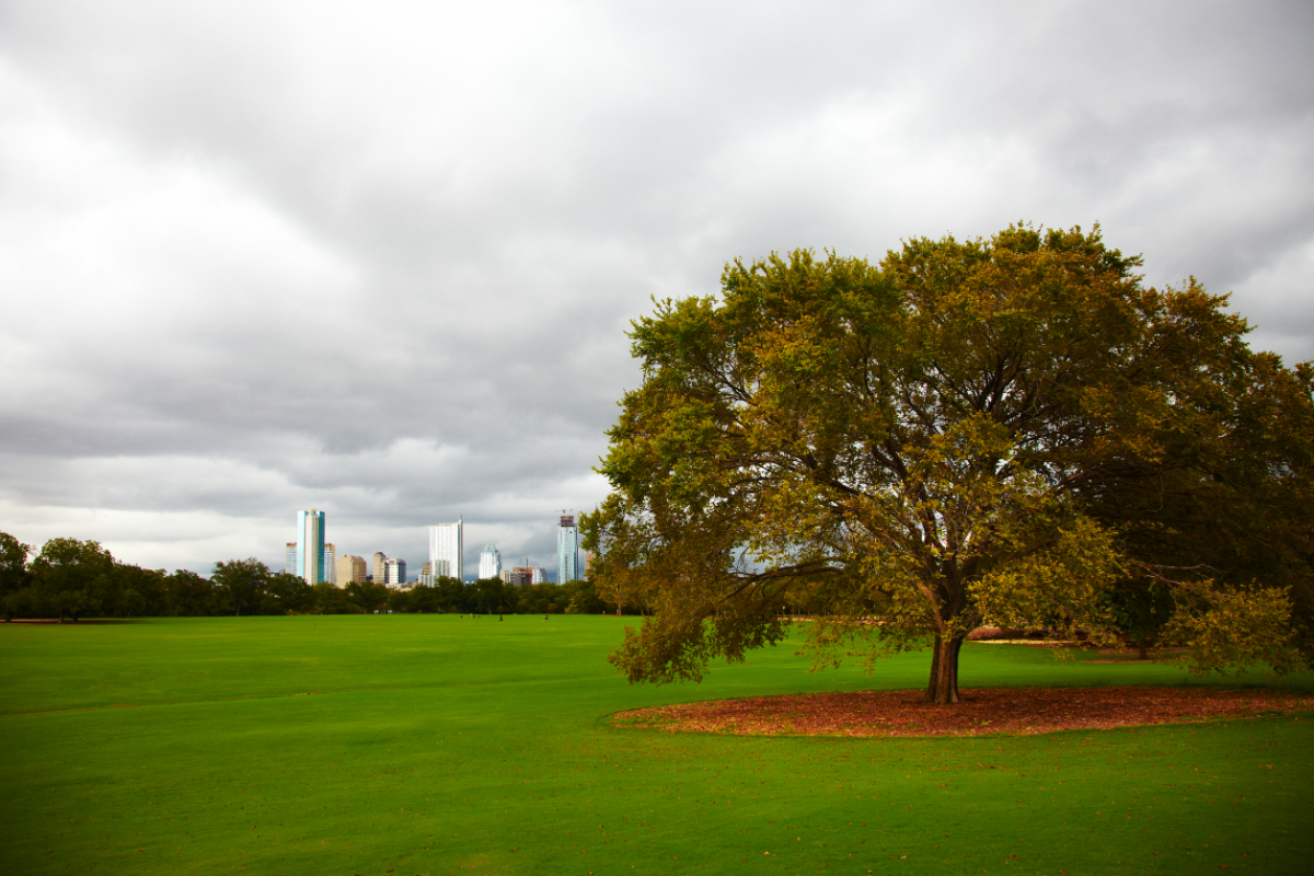 Zilker Park