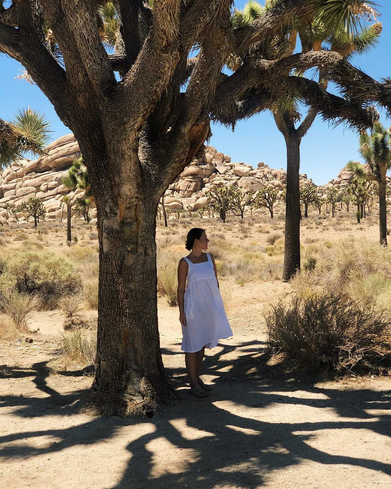 Erin McKee under a tree