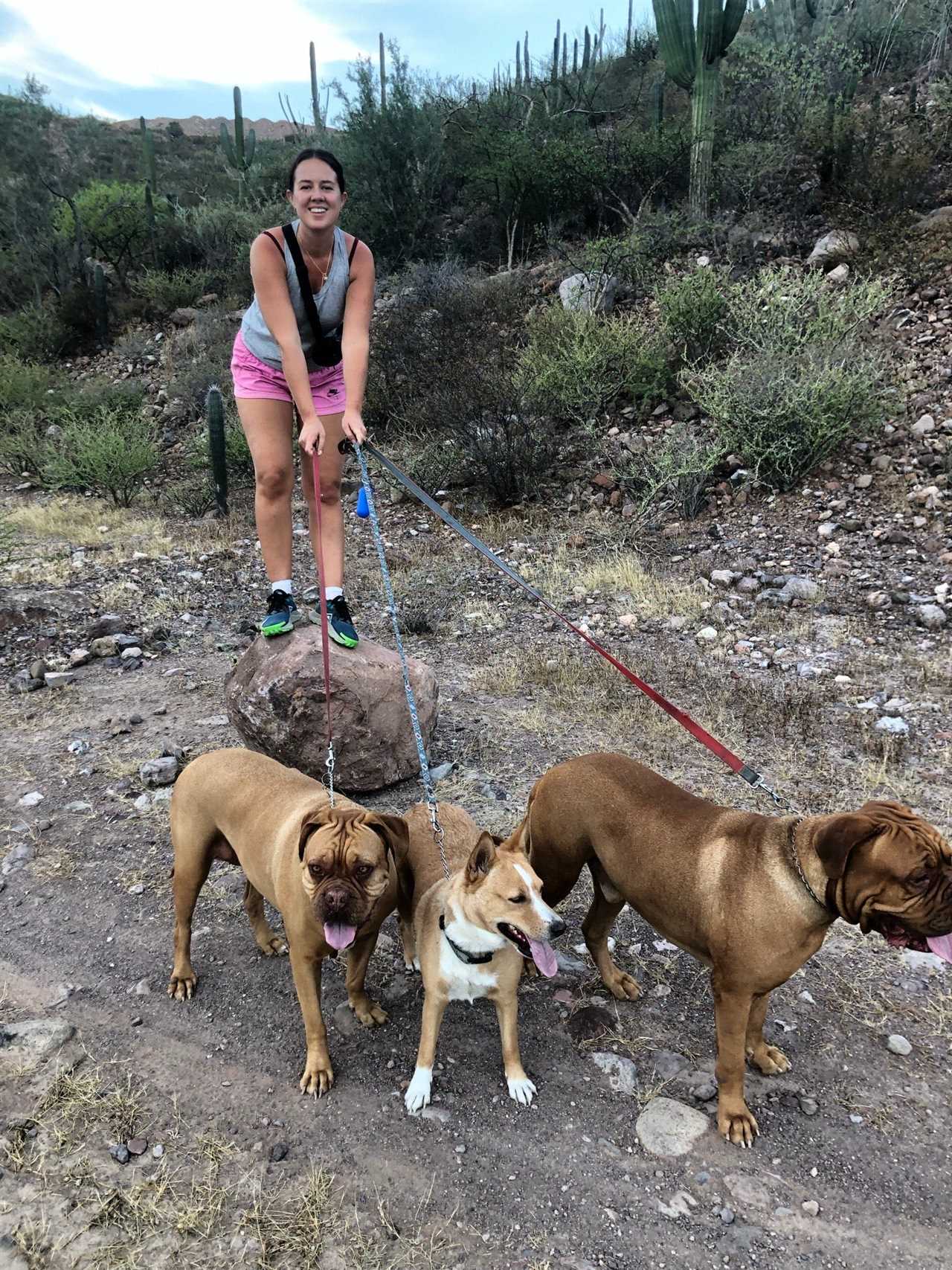 Erin McKee walking three dogs