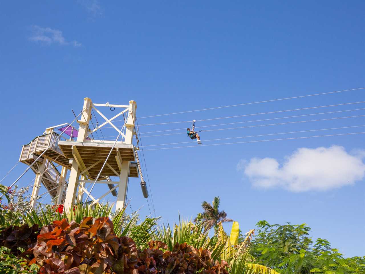 Royal Caribbean International's Perfect Day at CocoCay private island