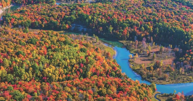 CITIZENS OUTRAGED Over Impending Decision By Unelected Bureaucrat to Takeover 162,000 PRISTINE ACRES of Northern Michigan Land For National Guard…Plan Will Double Size of Already Largest Training Facility in U.S.