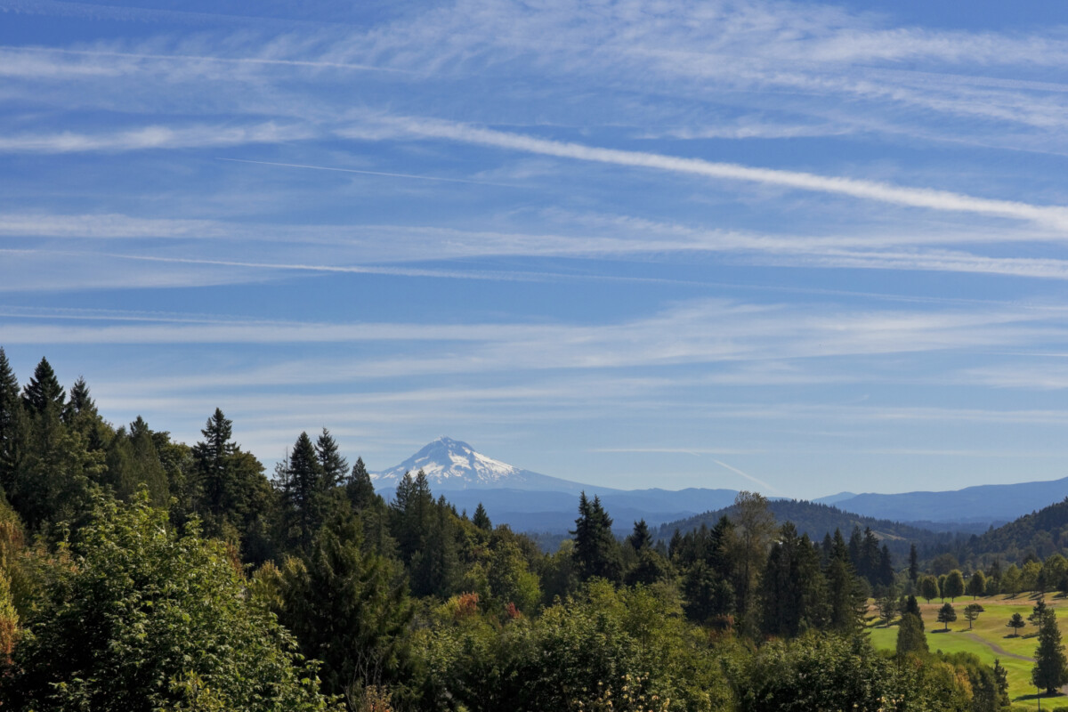 mount hood