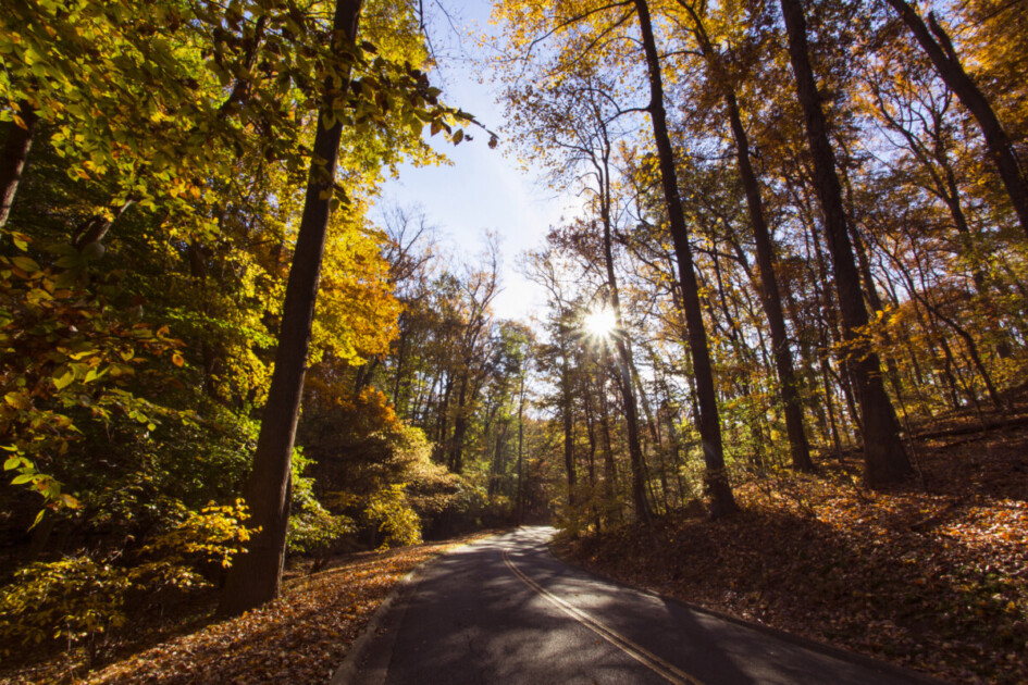 Country Road in Autumn