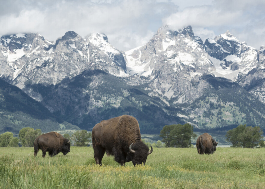 Boise is known for its easy access to national parks