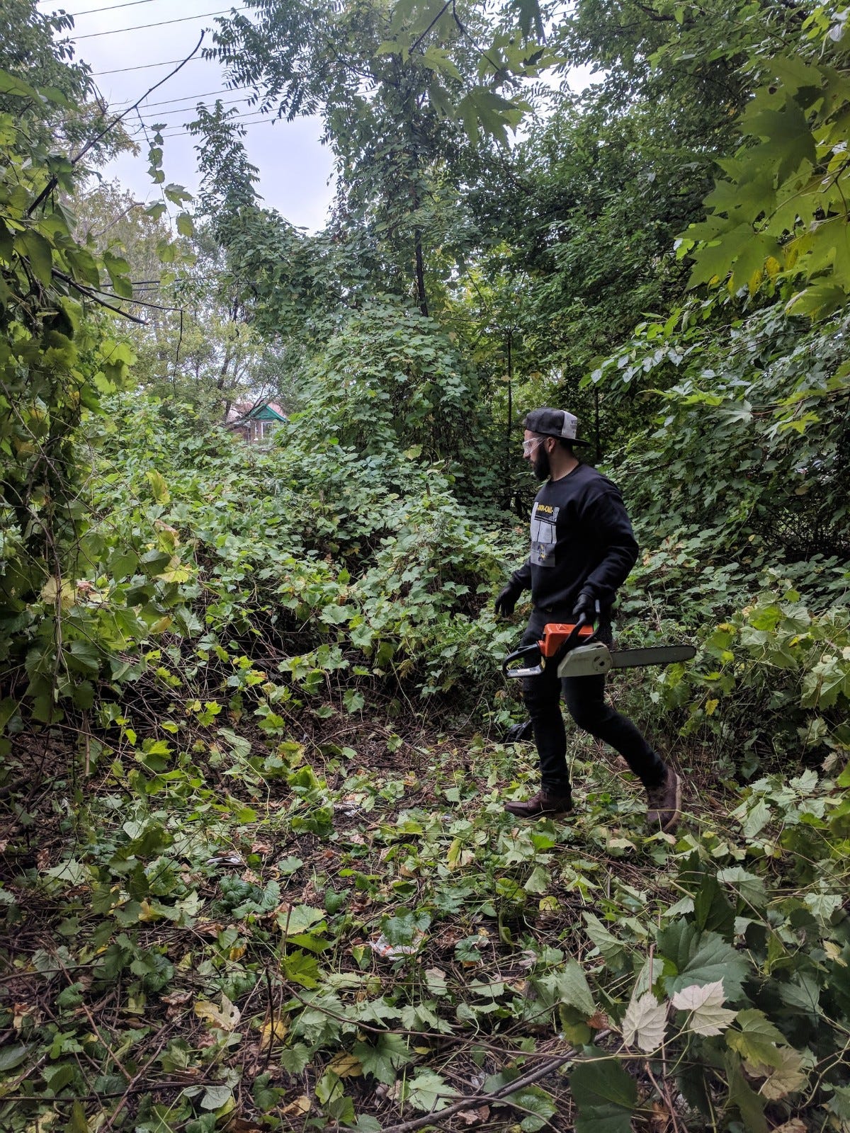 Kyle Dubay cutting down trees in his lawn.