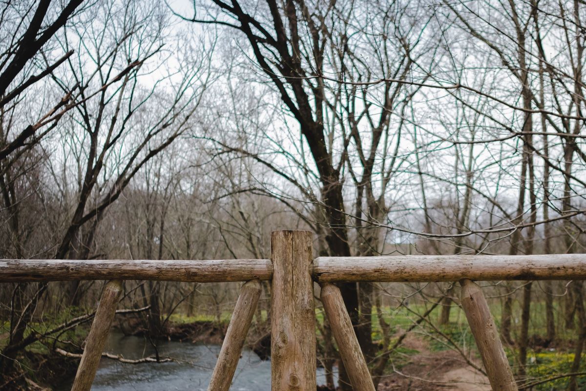 cherokee park in louisville