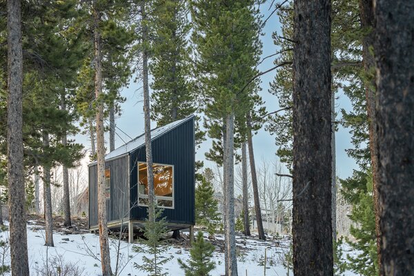 A Net-Zero Micro Cabin in Colorado Makes a Big Statement About Construction Waste