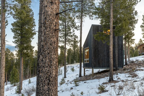 A Net-Zero Micro Cabin in Colorado Makes a Big Statement About Construction Waste