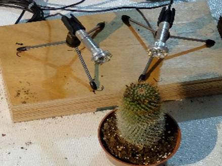 A cactus is shown next to recording equipment in this photo.