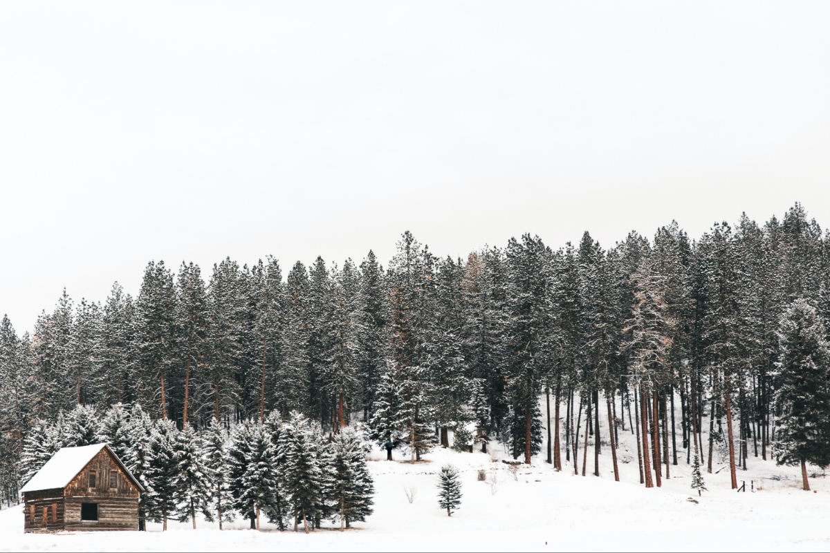 Mount Spokane