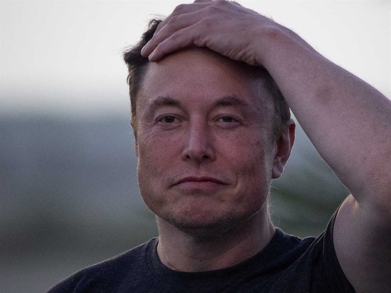 A picture of Elon Musk from the shoulders up. He's wearing a black t-shirt and clasping his left hand to his head with a calm expression on his face.