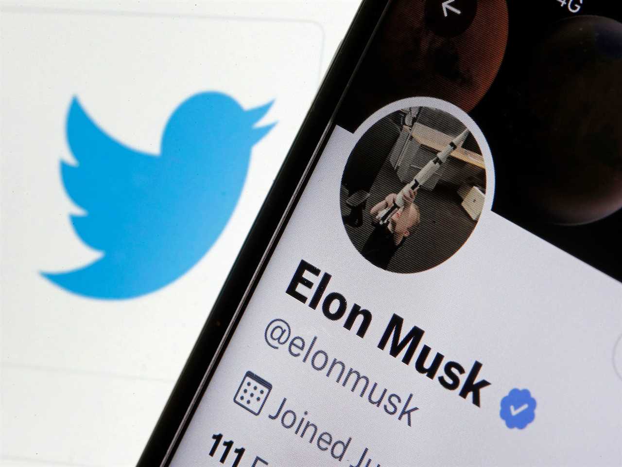 Elon Musk's Twitter account with Twitter logo.