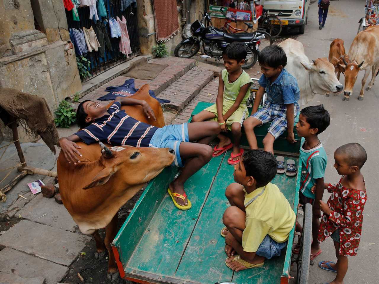 A group of Indian children sit in a cart and chat as one of them leans against a stray cow in India in 2015.