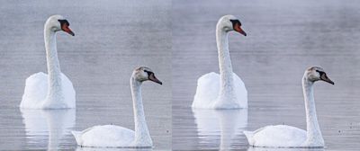 Before and after images showing the capabilities of Adobe Lightroom’s DeNoise feature.