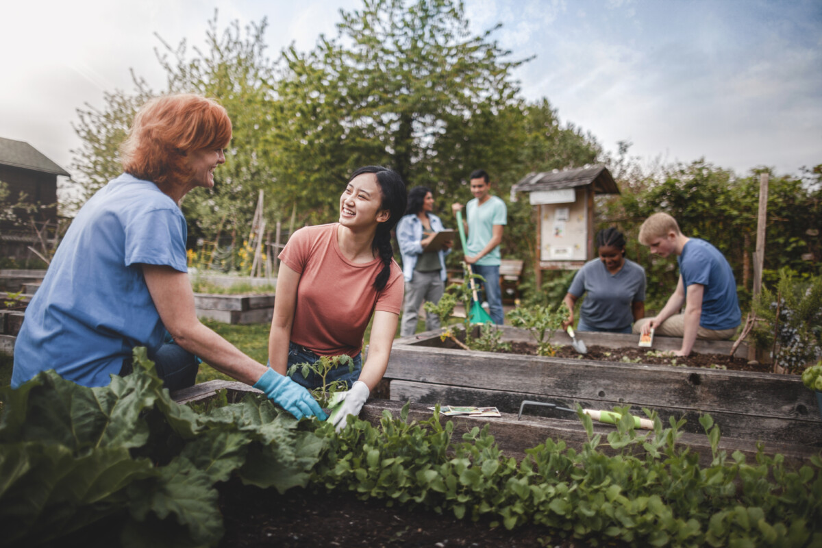 group of young men and young women gather as volunteers to plant vegetables in community garden _ getty