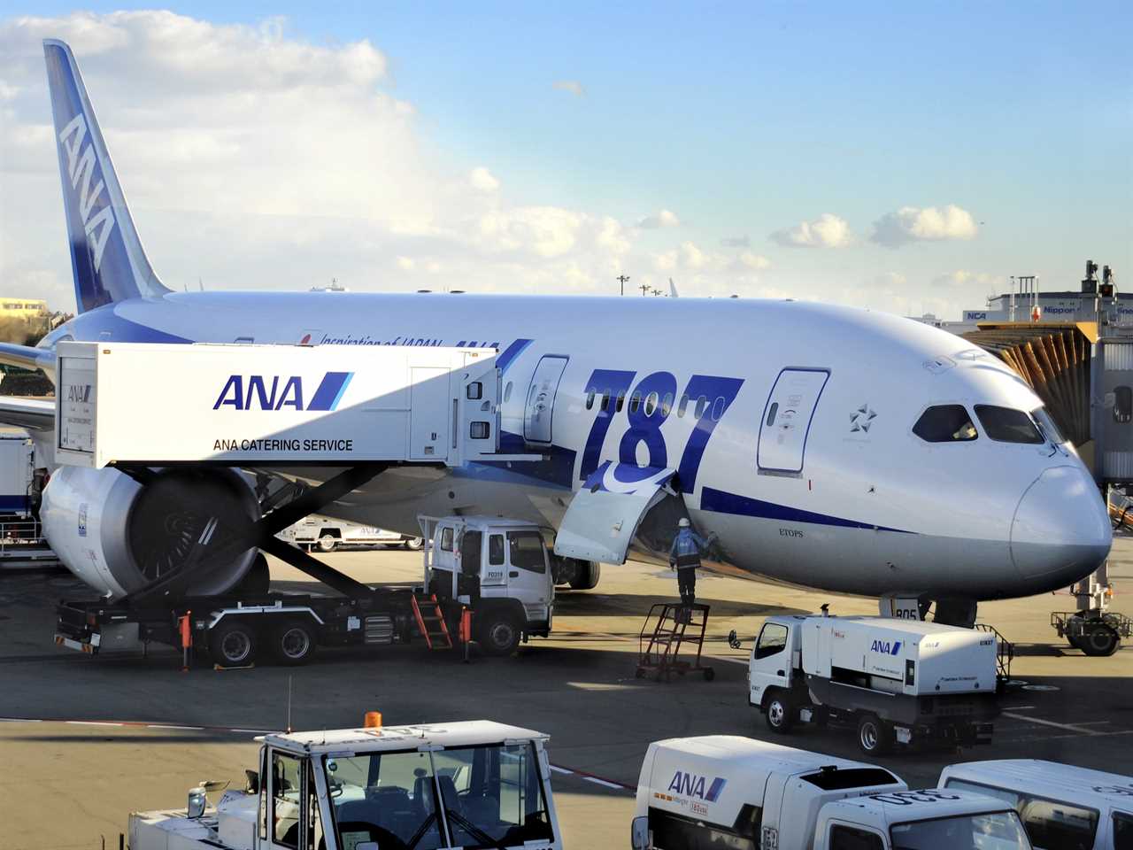 ANA Boeing 787 at the gate at Tokyo Narita Airport.