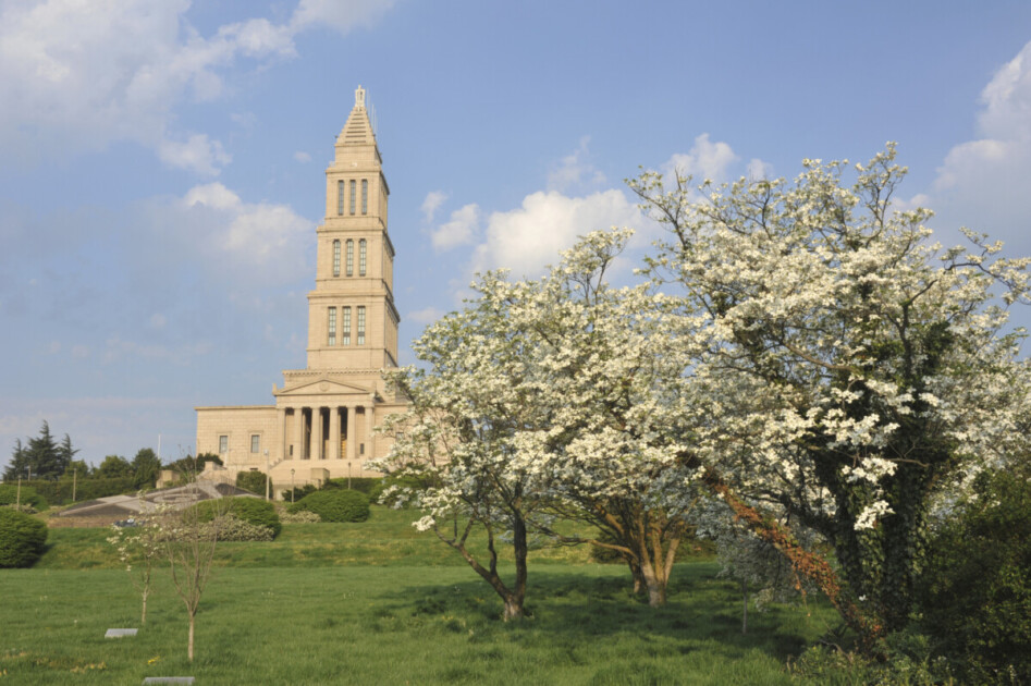 Dogwoods at the George Washington Masonic National Memorial, Alexandria, Virginia