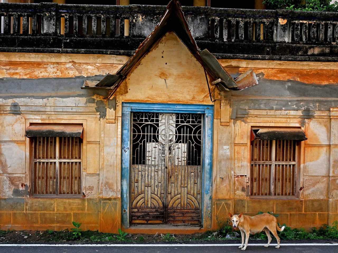 A dog stands in front of the exterior of a dilapidated mansion in Tamil Nadu in 2021.