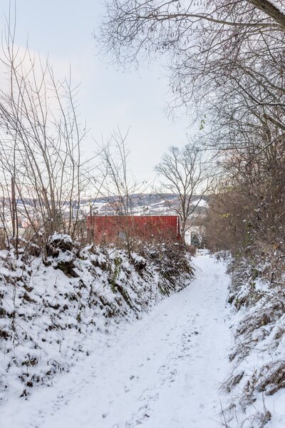 Plastic Windows, Plywood, and Pluck Bring Together This $56K DIY Cabin in the Czech Republic