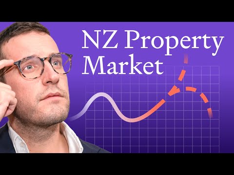 NZ Property Market Update: Latest Trends & Insights (2023)