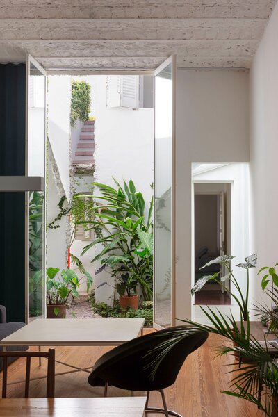 At one end of the living room, tall glass doors lead to an interior garden and one of the four openings—in this case more of a crack—that Hernán made between the houses. 