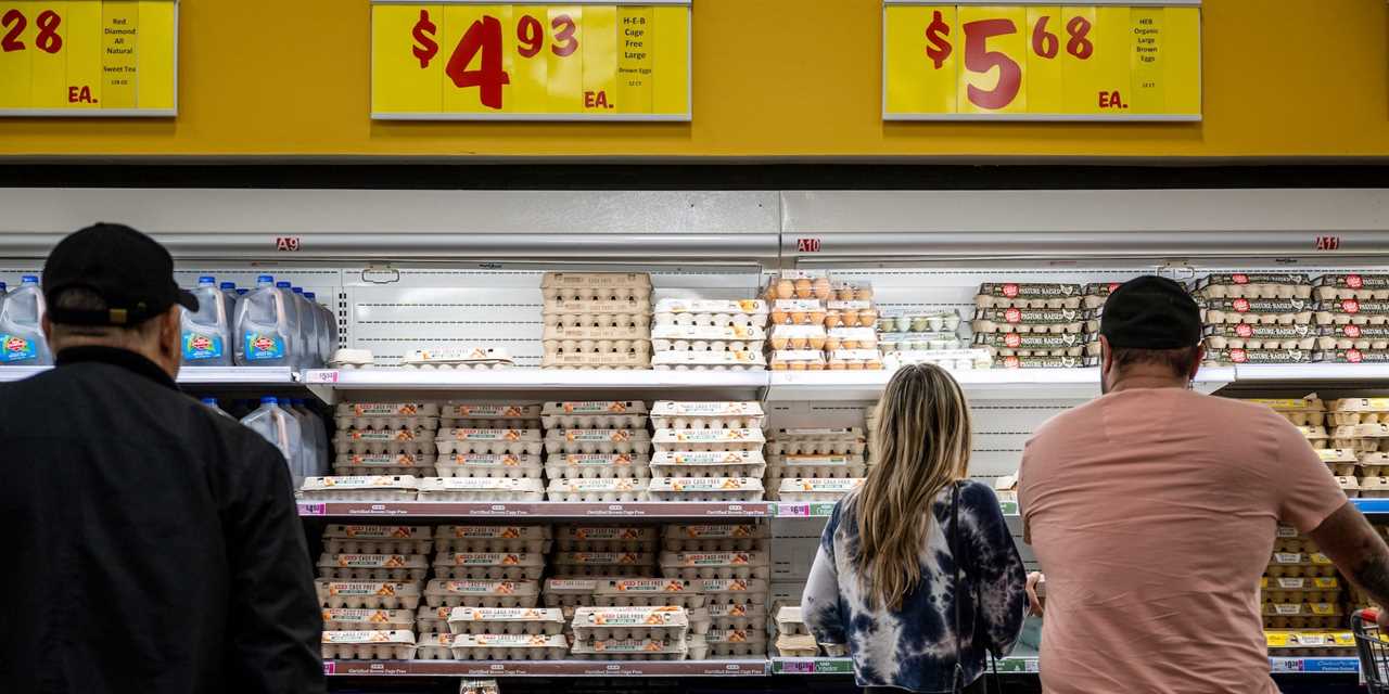 Three people are looking at eggs in a grocery store