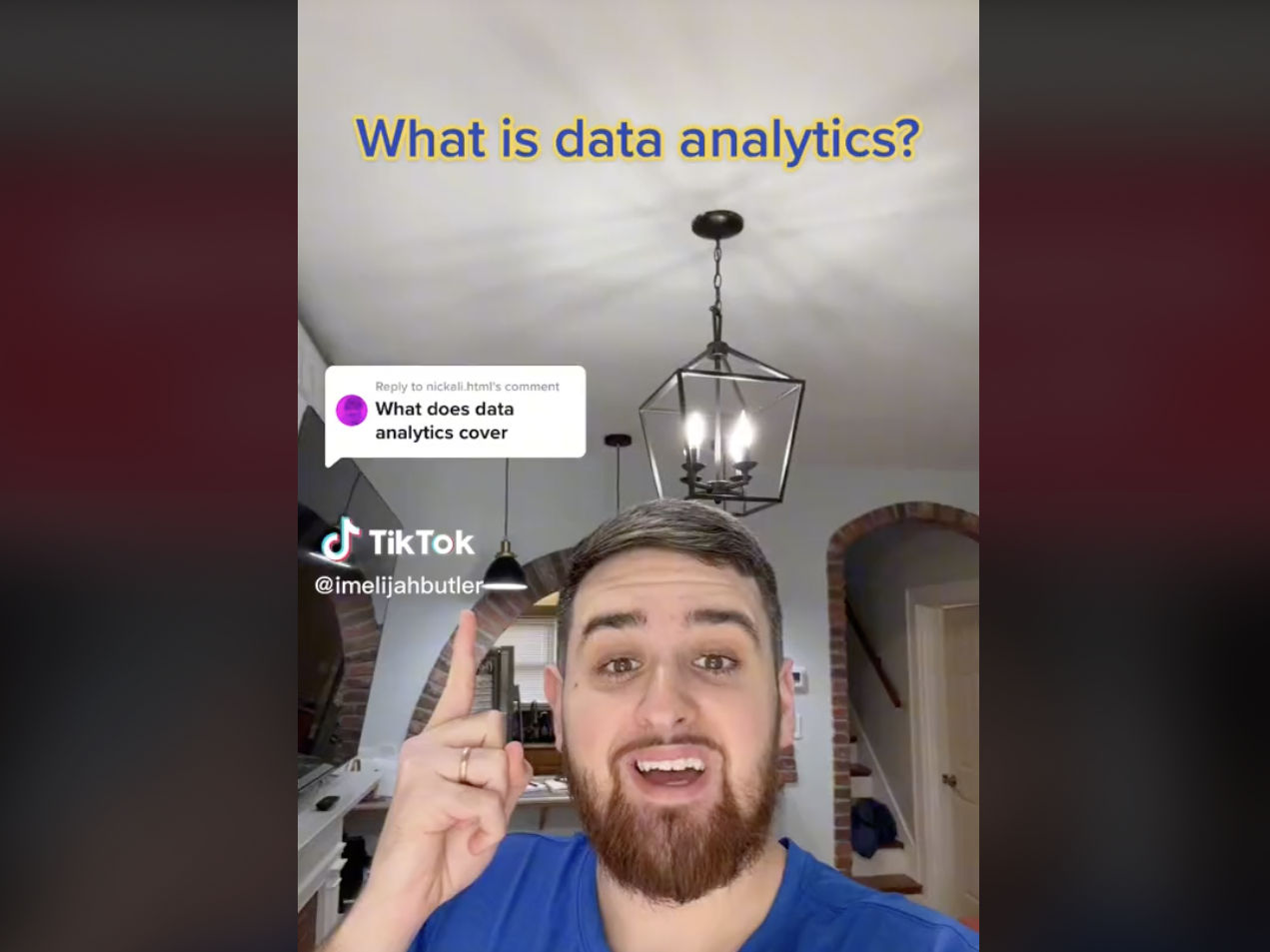 TikTok screenshot of a data analyst