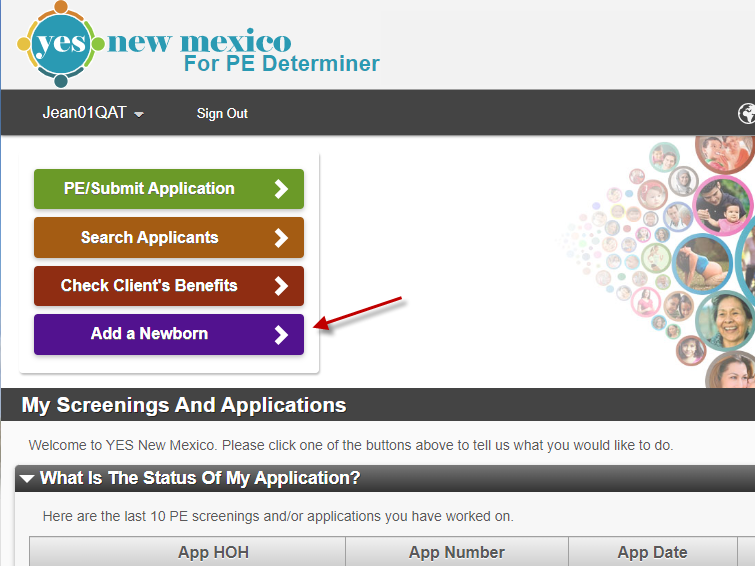 Screenshot of New Mexico's "baby bot" portal.