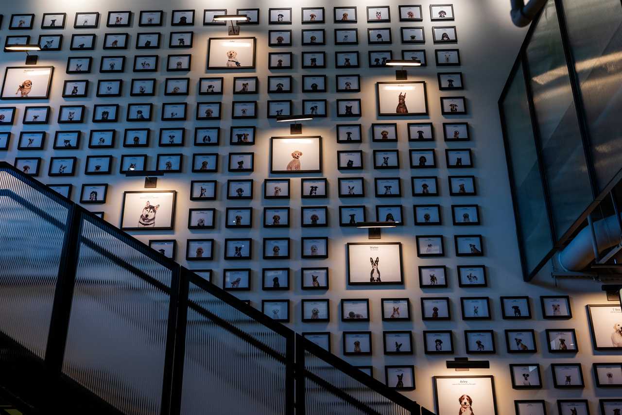 wall with illuminated photos of dogs at Metropolitan Park, the first phase of Amazon's HQ2 second headquarters in Arlington, Virginia