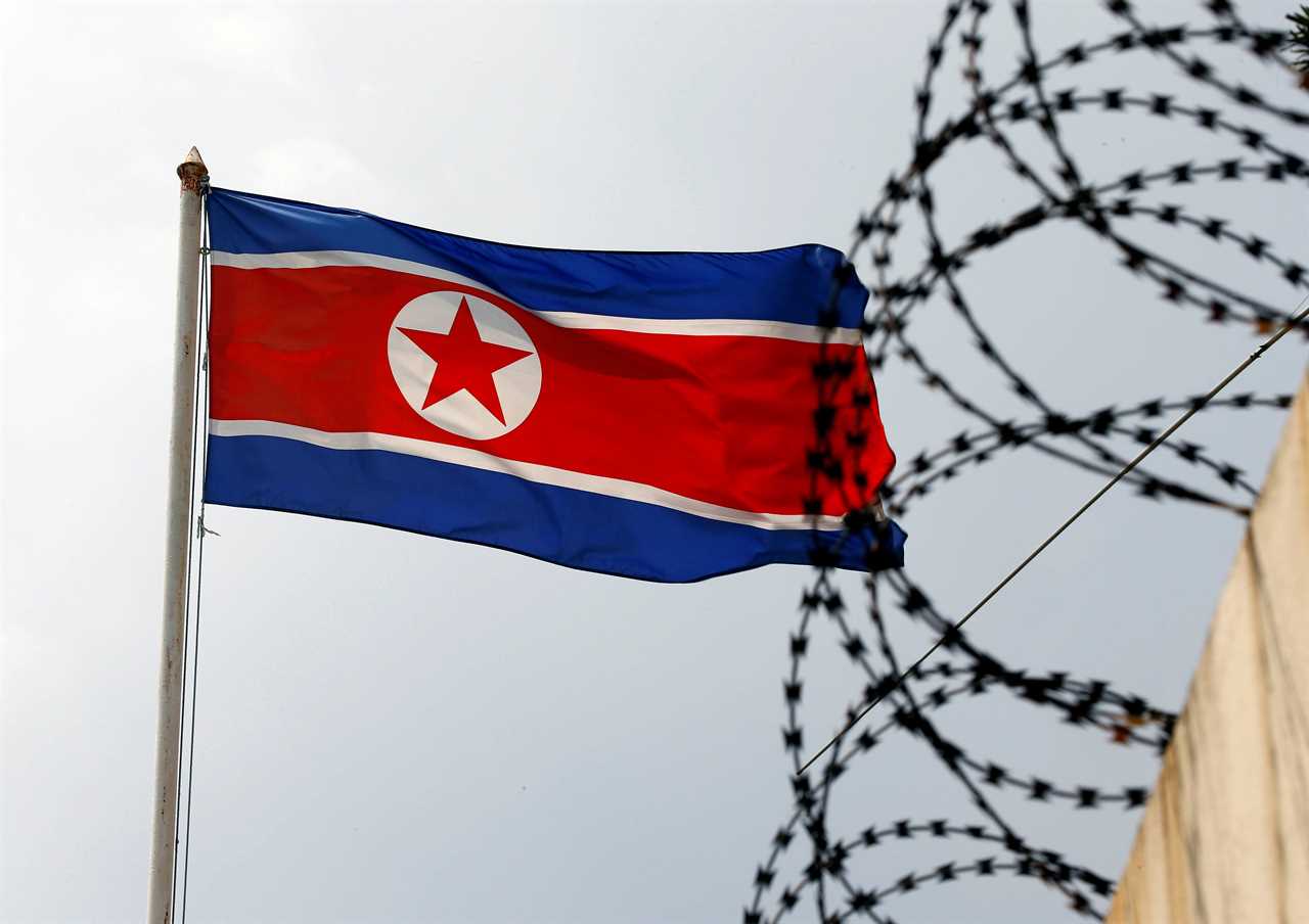 north korean flag