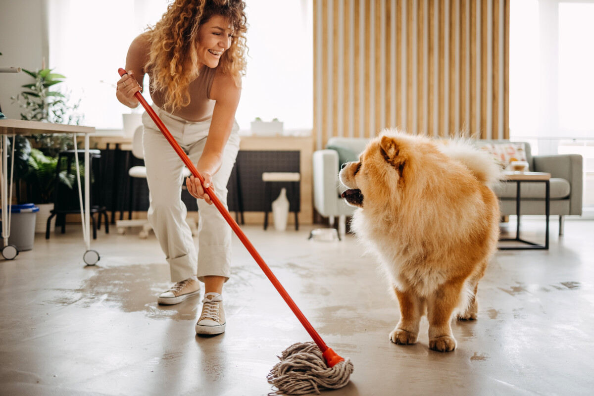 Keeping Your Home Clean and Pet-Friendly: A Comprehensive Guide for Pet Owners