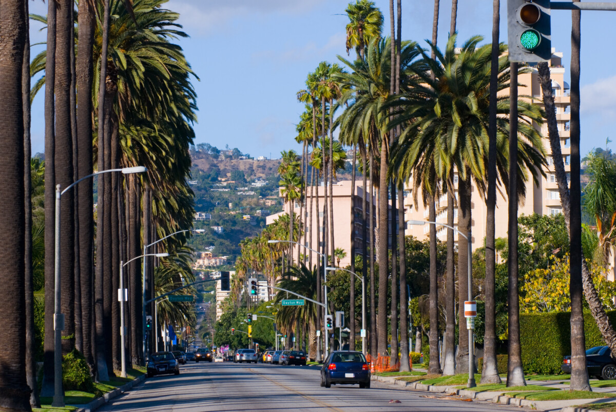 Beverly Hills Residential Scene