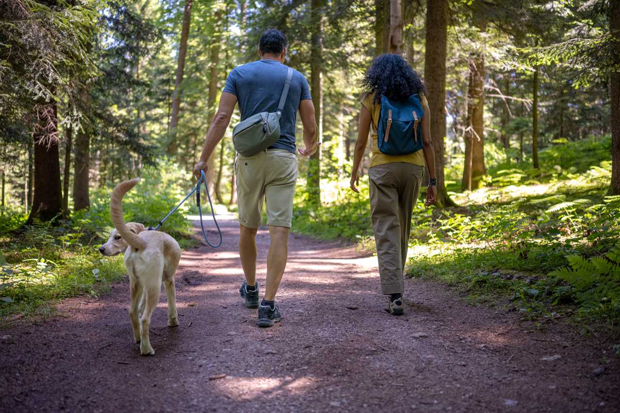  A pair of hikers with dog walking on pathway in forest