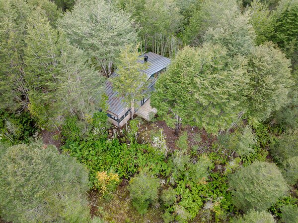 This Wood, Glass, and Metal Cabin Hovers Above the Forest Floor in Chile