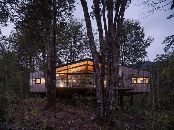 This Wood, Glass, and Metal Cabin Hovers Above the Forest Floor in Chile