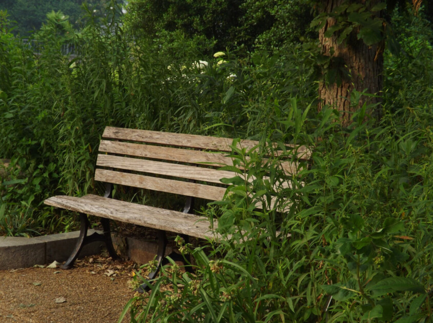 Bench at sunset