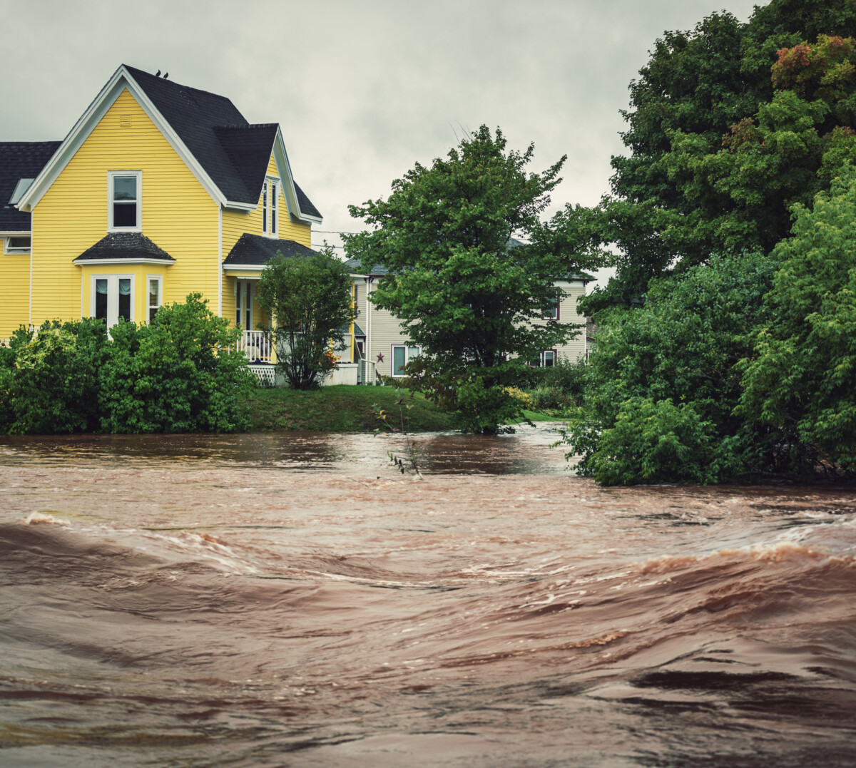 how-to-prepare-your-house-for-a-hurricane-3