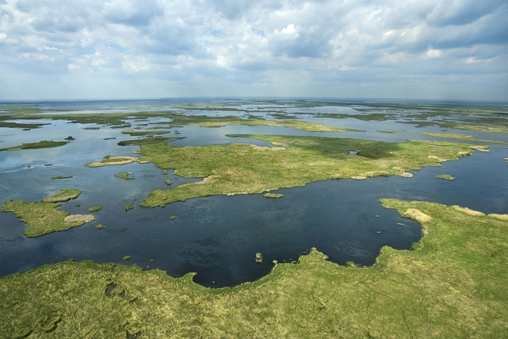 swamp marshes in port arthur texas_Getty