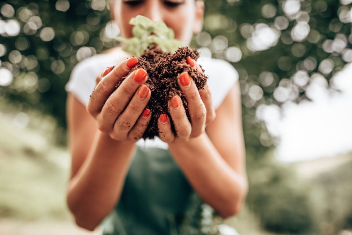 woman holding a plant in her hands