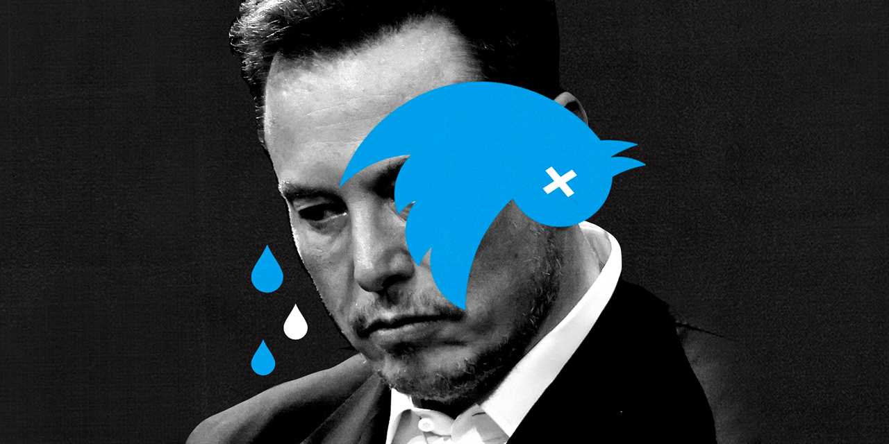 Elon Musk looking sad with dead Twitter bird