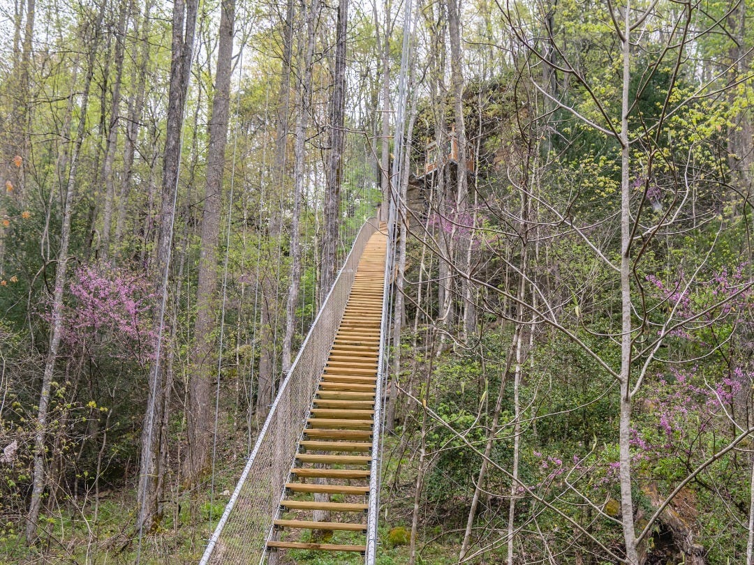 A staircase that leads up to the Cliff Dweller at Red River Gorge.