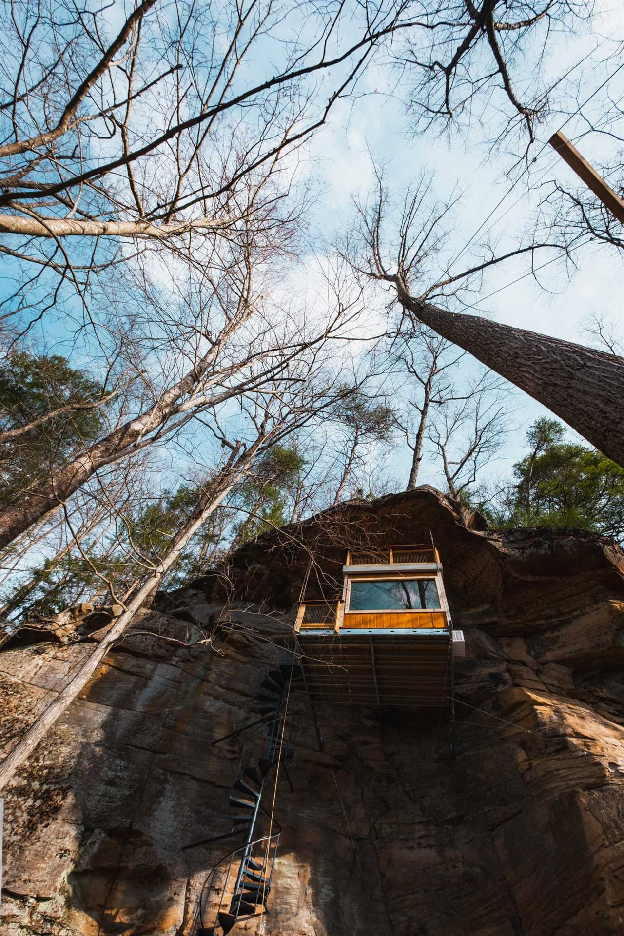 The Cliff Dweller treehouse seen from below.